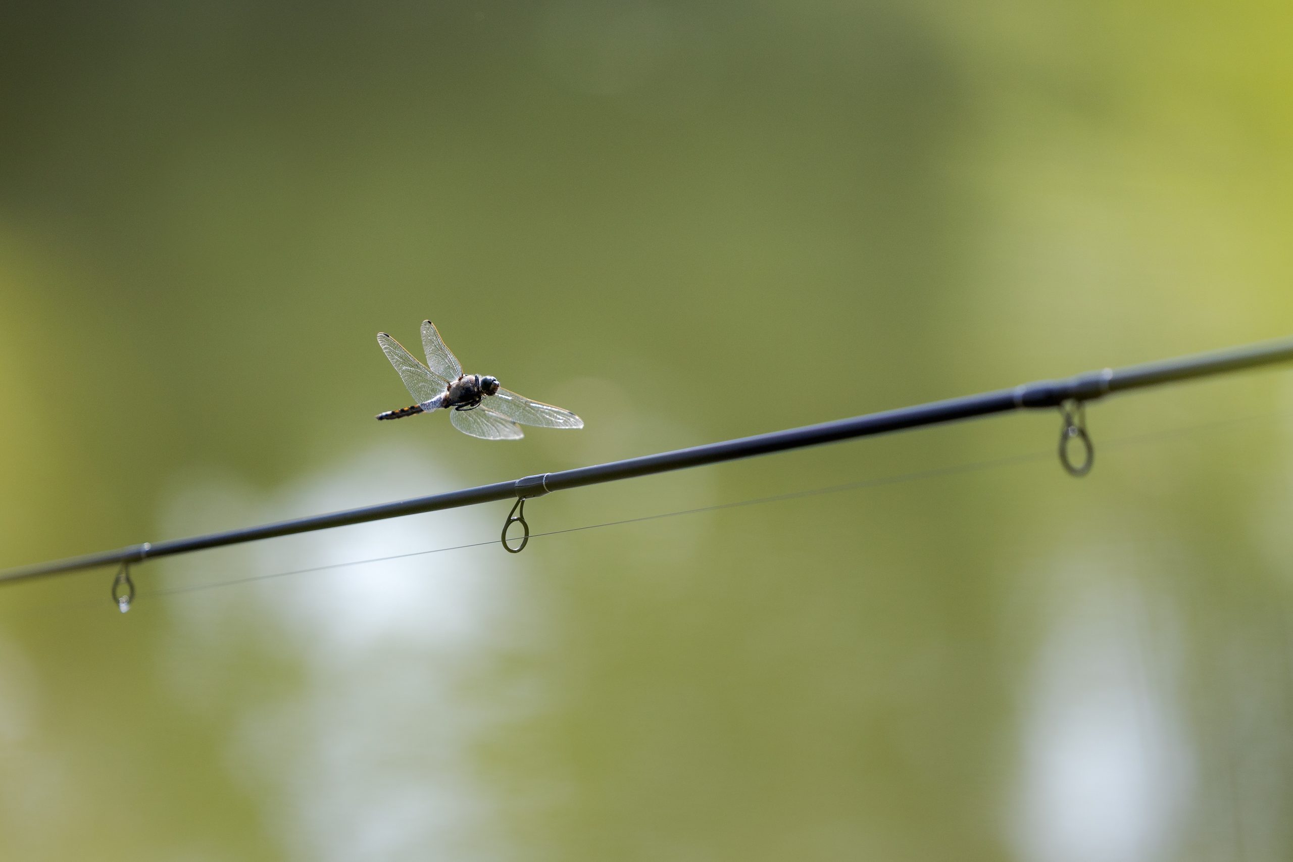 BANIERE SITE Peche 1 Scaled
