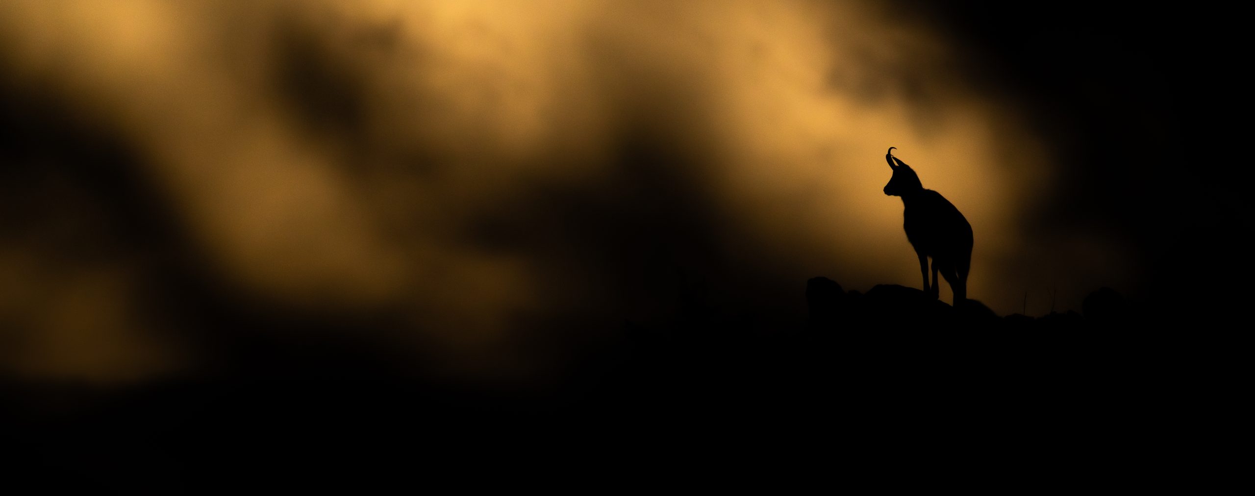 06112025 8c0a9144