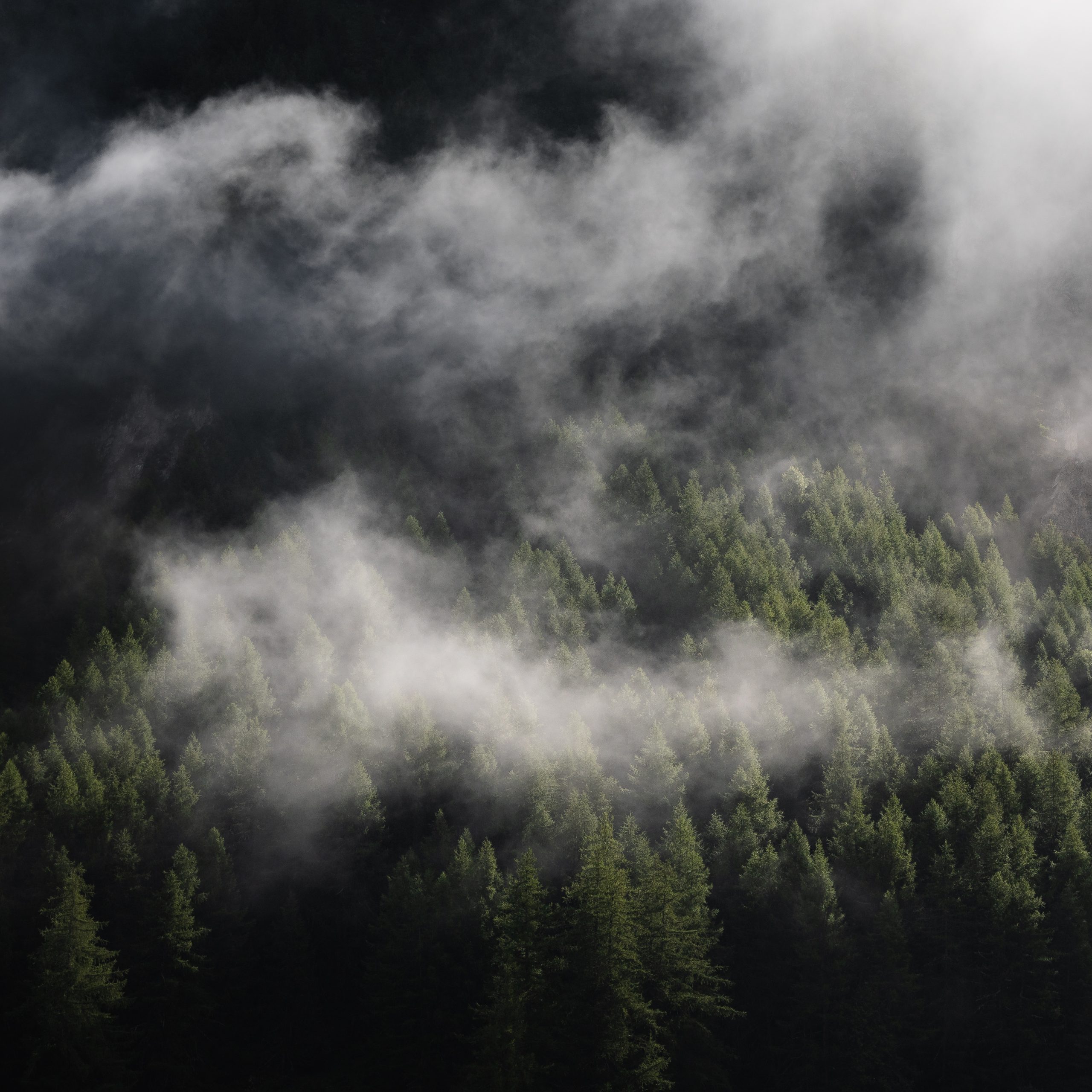 Page d'accueil 07072025 221a2576