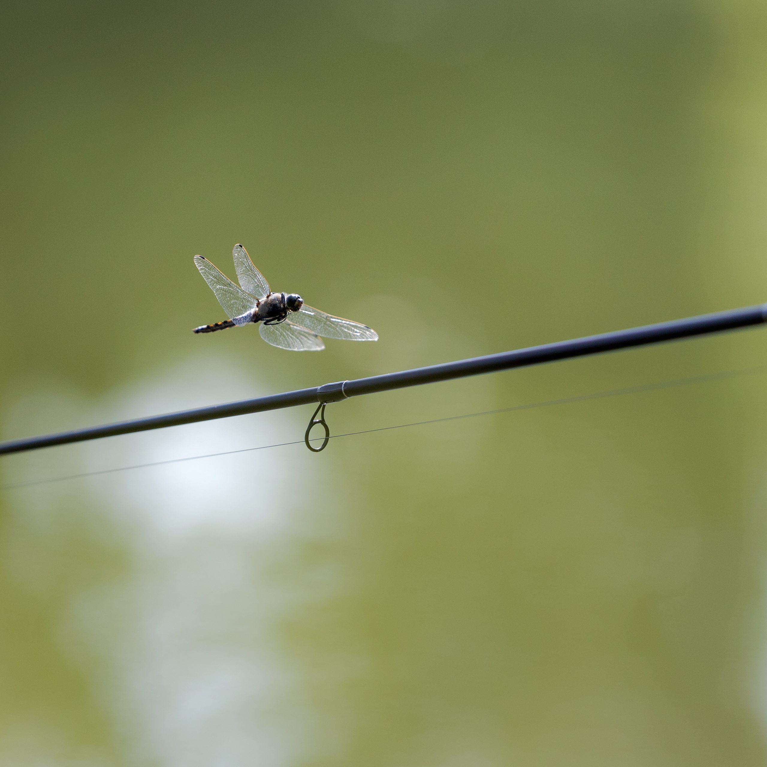 Page d'accueil 30072024 h2a3554