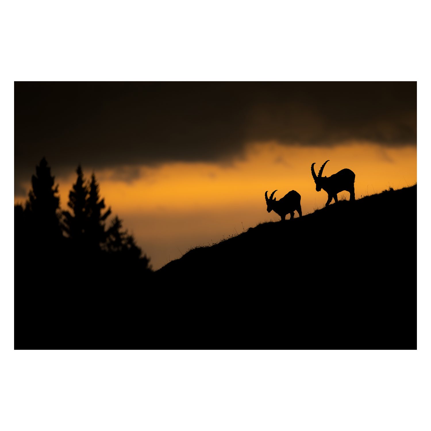 gardiens des crêtes